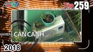 CAMERA CẬN CẢNH | Tập 259 FULL | Bom nổ chậm tại gia - Ôtô hất tung xe máy xuống ruộng - 