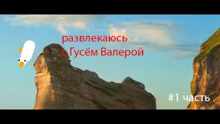 Играюсь с гусём Валерой. #1 часть