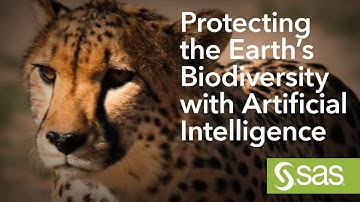 Protecting the Earth’s Biodiversity with Artificial Intelligence