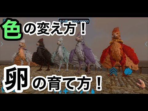 オリジナルペットを作ろう 色の変え方 卵の産ませ方 スマホ版アーク実況 Ark Mobile Youtube