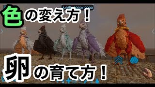 【オリジナルペットを作ろう！色の変え方、卵の産ませ方】スマホ版アーク実況（Ark Mobile）