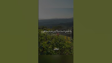 "فسبحان الله حين تمسون وحين تصبحون" سورة الروم | القارئ فيصل الهاجري