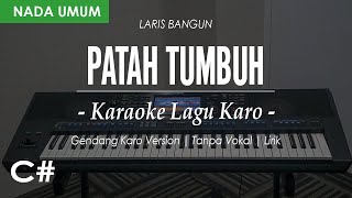 PATAH TUMBUH HILANG BERGANTI (GENDANG) - NADA UMUM - || NADA C# || KARAOKE LIRIK || LAGU KARO