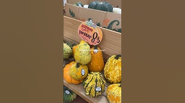 Fall at Trader Joe’s #vlog #halloween #food #fall #traderjoes #shopping