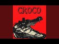 CROCO