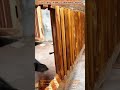 From Raw Timber to Seamless Design: The Art of Precision Carpentry