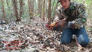 Tổng hợp những video bẫy gà rừng bằng mồi mái nhanh nhất đẳng cấp nhất 2020