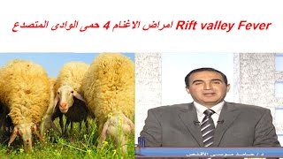 امراض الاغنام 4 حمى الوادى المتصدع Rift valley Fever