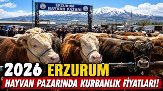 KURBANLIK FİYATLARI NASIL ?ERZURUM CANLI HAYVAN PAZARI #2026