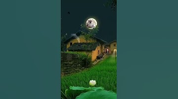 تلاوة جميلة للقارئ سعدون حمادي