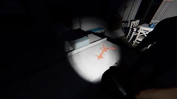 Phasmophobia yokai test 100% accuracy