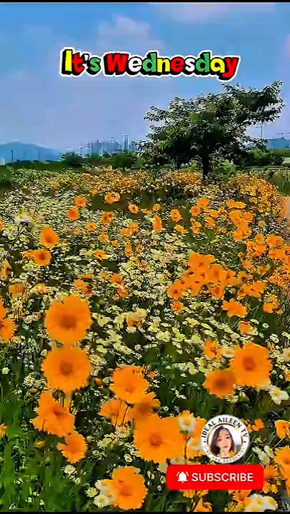 Day filled with Love, Focus & Resilience! #shorts