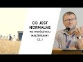 Co jest normalne we współżyciu małżeńskim? cz. I | dr inż. Jacek Pulikowski