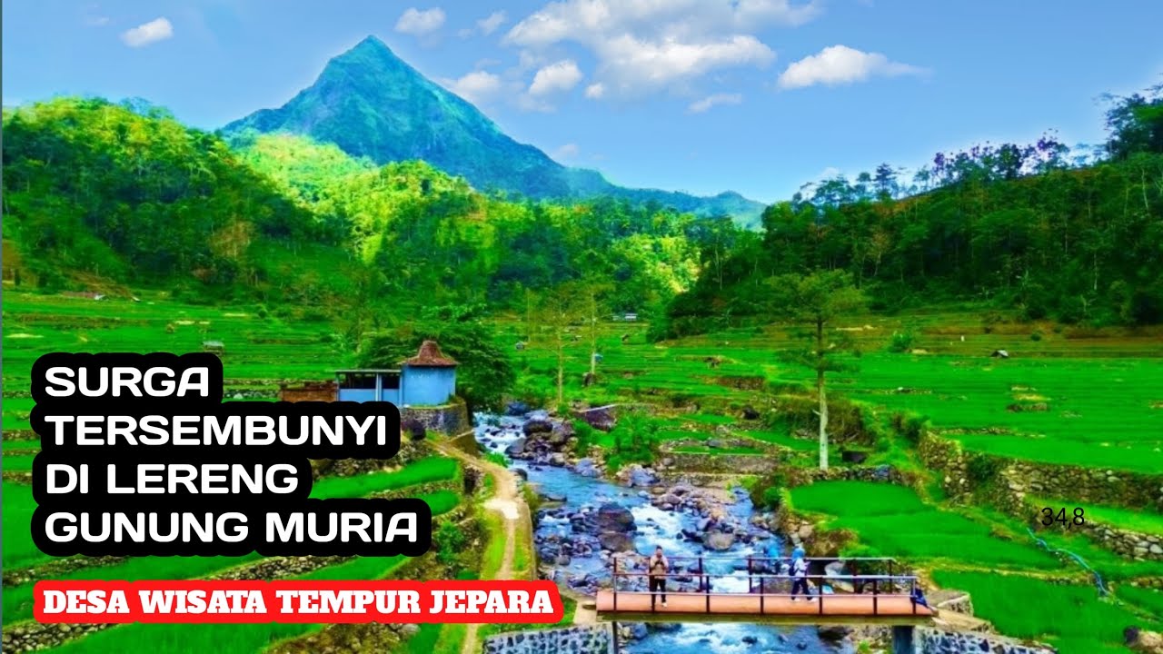 Menikmati Keindahan Desa Wisata Tempur Jepara || Surga tersembunyi di lereng Muria‼️