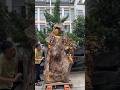 Carving Buddha From Wood Takes Serious Talent#Handmade #art #skill