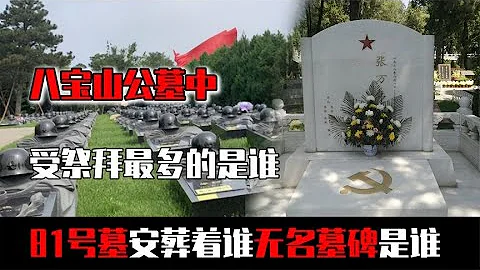 八寶山公墓中受祭拜最多的是誰，81號墓安葬着誰，無名墓碑是誰 - 天天要聞