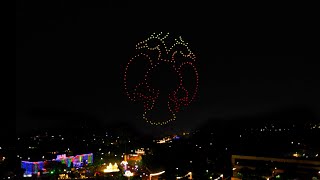 Mysore Dasara 250 Drone Show | BotLab Dynamics