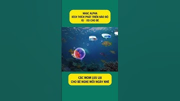 NHẠC ALPHA KÍCH THÍCH PHÁT TRIỂN NÃO BỘ IQ - EQ CHO BÉ #mangthai #mebau #mangthailandau