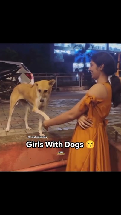 Girls Vs Boys with Dogs 🐕 the best meme#funnyshorts #trending #shortfeed
