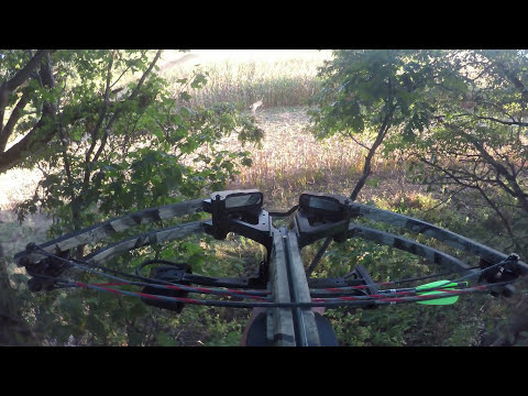 Michigan Crossbow Hunt - 8 Point 10/01/2017