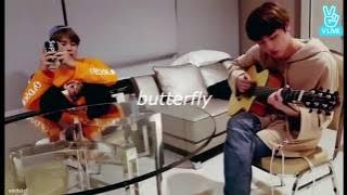 BTS JIN & JIMIN; BUTTERFLY acoustic (english lyrics)