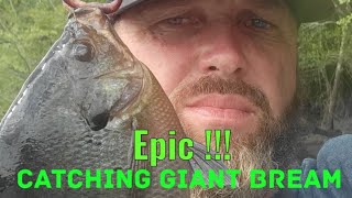 Epic!!! Catching Bream on Big Pee Dee
