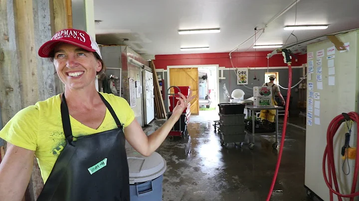 Root 5 Farm: All The Secrets of Wash/Pack Success