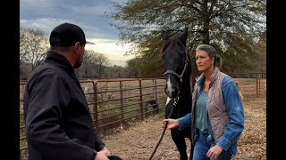 Helping a rescued abused race horse in Texas!!