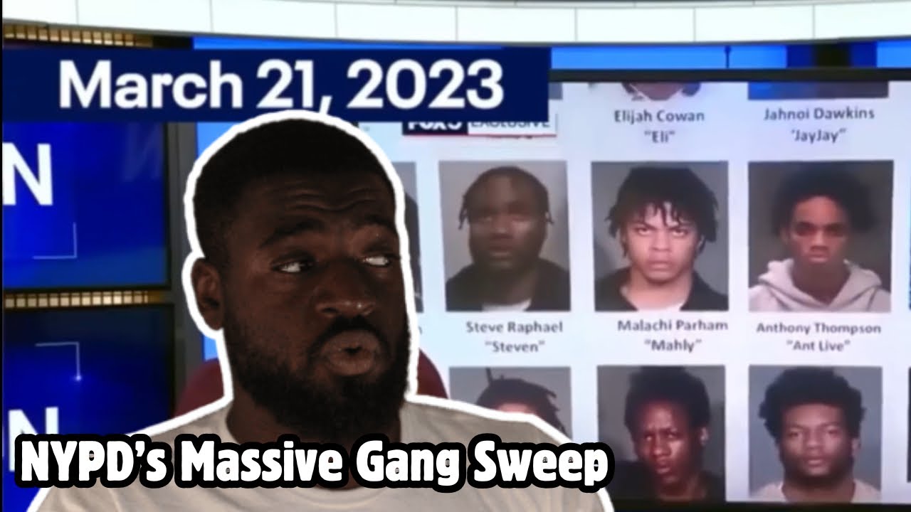 Curated visual reference: Gallery Detail: Dozens Arrested In Nypd S Epic Gang Takedown Operation