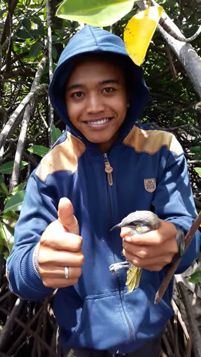 Dapat cucak rowo pantai manteb abis....!!!!
