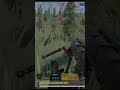 1 HP Sniper Clutch for the BR WIN! 🤯🎯​ #codm #sniperclutch #codmsniper #battleroyale #fyp #codmclips