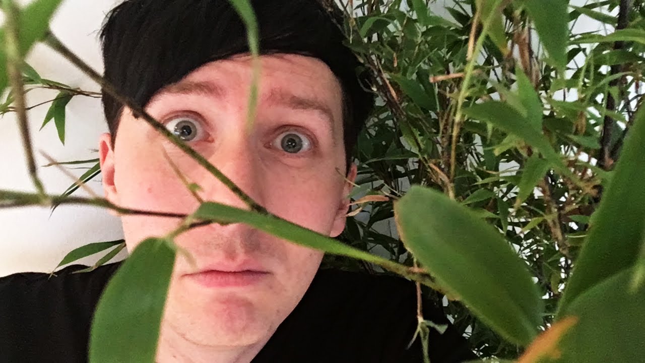 I have a problem - LIVE SHOW from 6th July 2017. SUBSCRIBE FOR MORE! http://www.youtube.com/subscription_c...

MERCH! http://www.danandphilshop.com

I talk about my houseplant pro