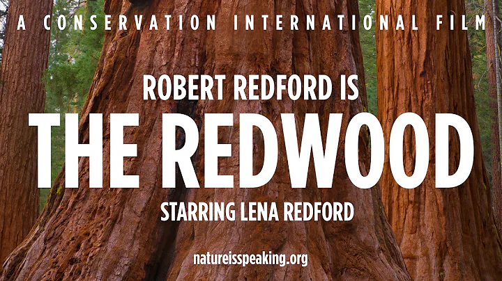大自然在說話——Robert Redford (羅伯特·雷德福) 飾紅杉| 保護國際基金會 (CI) - 天天要聞