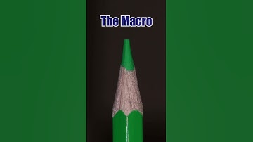 Pencil vs Grape #shorts #macro #closeup