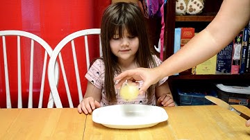 Disappearing Eggshell Science Experiement For Kids