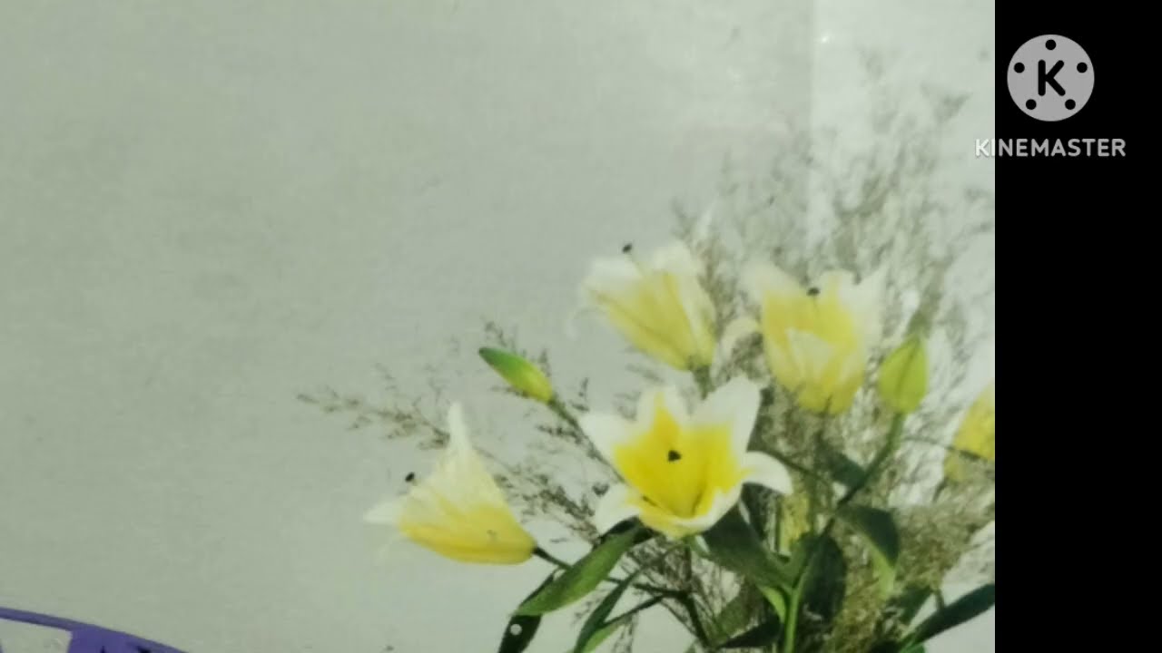 6/2/26 డ్రగ్స్ కేసులో అడ్డంగా దొరికిపోయింది దాత్రి చెల్లెలు జెడి అరెస్టు చేయడం కౌశికి ని ఒక మాట అనడం