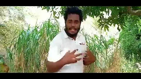 Anansi and the Sky Kingdom by Kester Peters