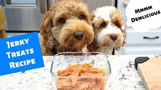 How To Make Jerky Dog Treats (Homemade Chicken Jerky)