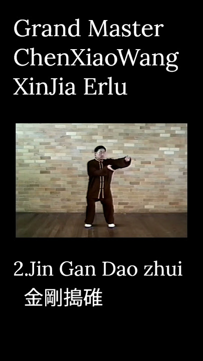 Grand Master ChenXiaoWang Xinjia Erlu 2.Jin gan dao zhui  #taichi #taijiquan #xinjia