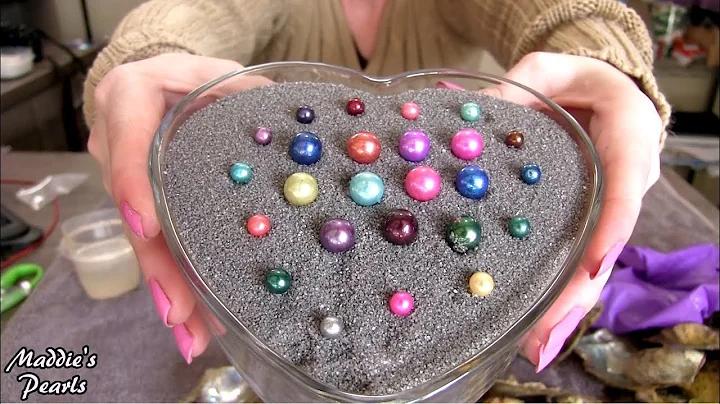 Shucking HUGE 10mm Exotic Edison Pearls + Akoya Oy...