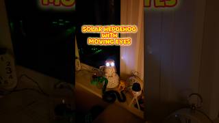 Solar Hedgehog with moving eyes from HomeBargains
