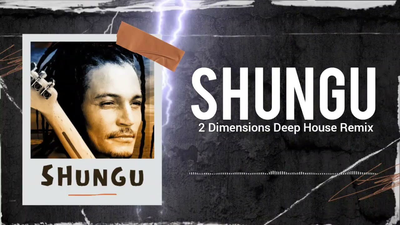 2Dimensions - Shungu (feat. Andy Brown )[House Remix]