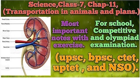 class-7, chapter-11(part-2 and last) Transportation in  animals and plants.ncert notes with exercise