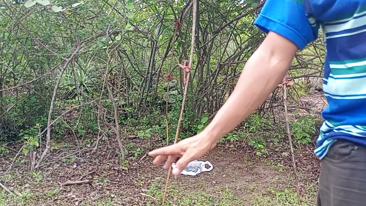 22 de fevereiro de 2026