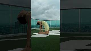 #йога #мягкаяйога #магияутра #баланс #yoga #relax #йогаонлайн #йогакаждыйдень