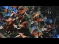 thats amazing longest insect migration in the world monarch butterfly