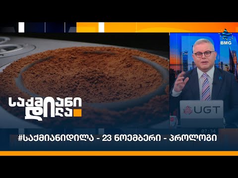#საქმიანიდილა - 23 ნოემბერი - პროლოგი