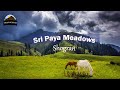 Shogran | Sri Paya Meadows | Makra Peak | Kaghan Valley | Kpk | Pakistan