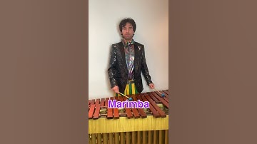 Thumbnail of When The Saints Go Marching In on 6 Different Mallet Instruments