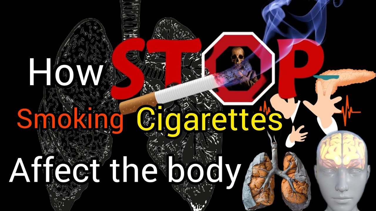 smoking is killing you. How smoking affect your body? Does smoking ...